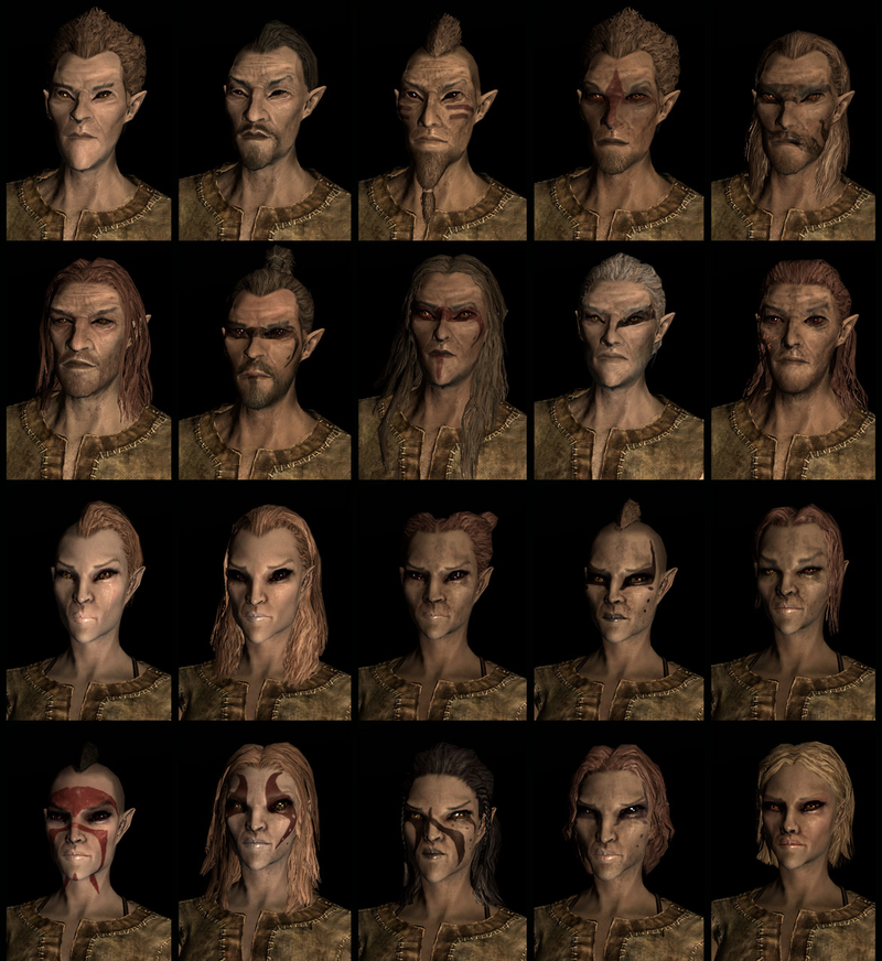 Illustration for article titled Twenty Different Faces For Each of Skyrim's Races